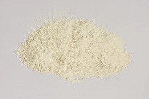 Onion Powder